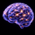 BrainArk